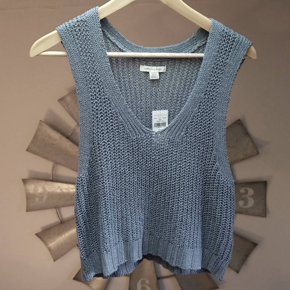 AMERICAN Eagle sleeveless v-neck sweater